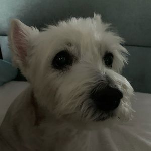 Meet your Posher, Anel